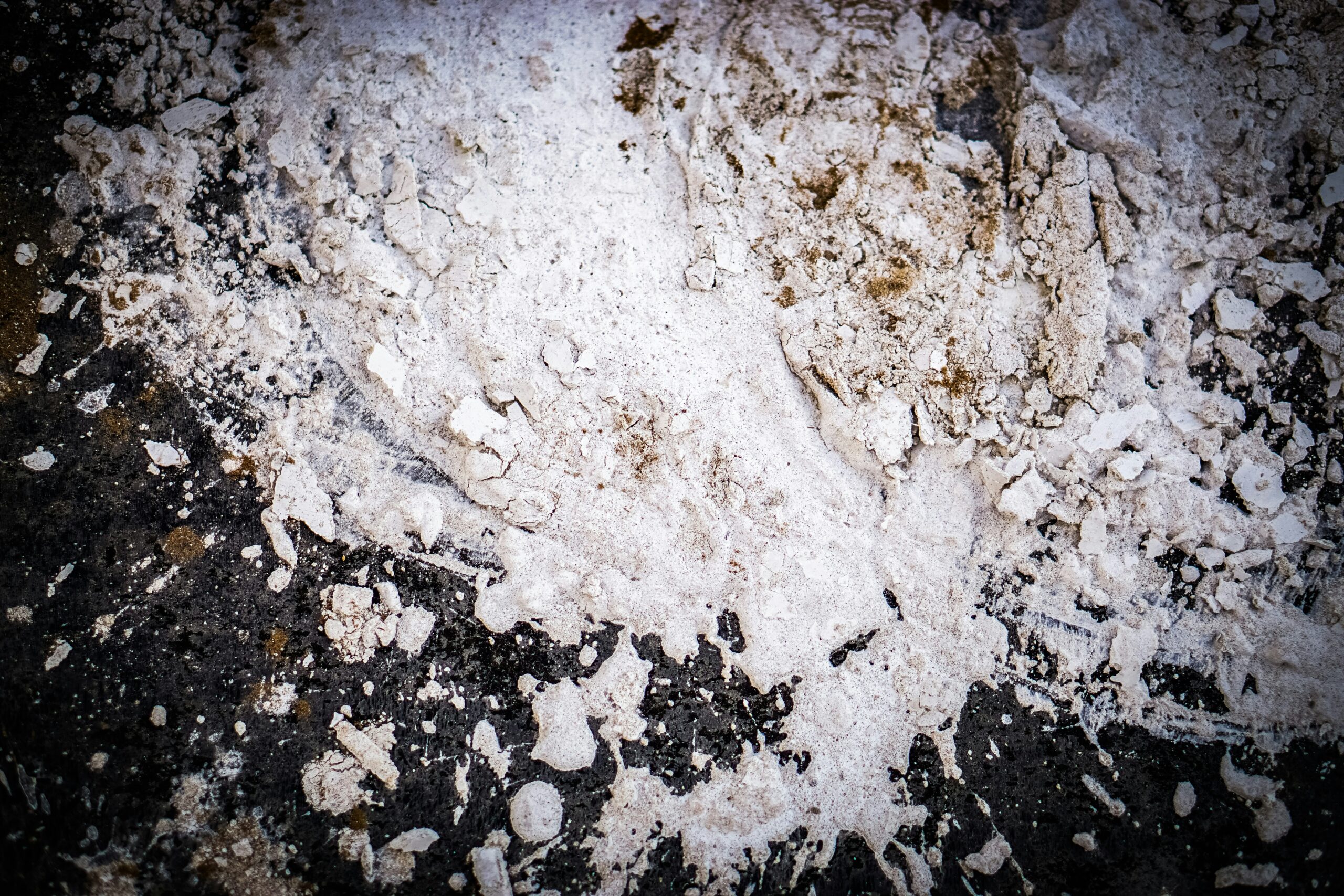 aiva-apsite-wtcQMklj_XY-unsplash