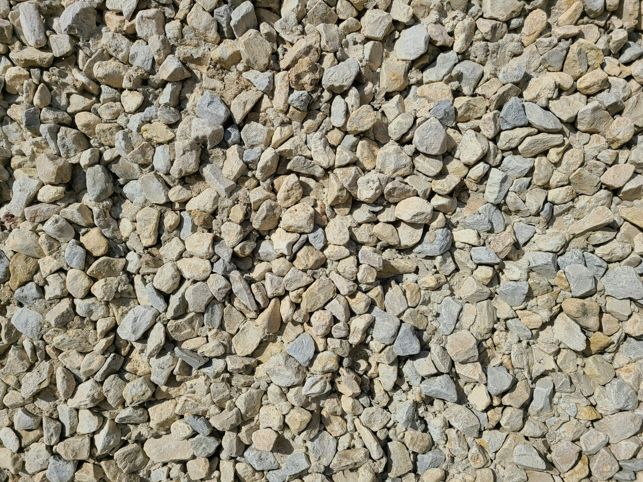 gaas-rabbit-pKDDEZRmIjI-unsplash